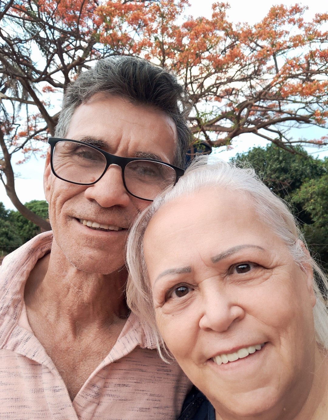 Bodas de Ouro - 4